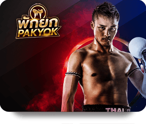 SHBET Thể Thao VIP: Khuyến mãi hấp dẫn dành cho người dùng mới